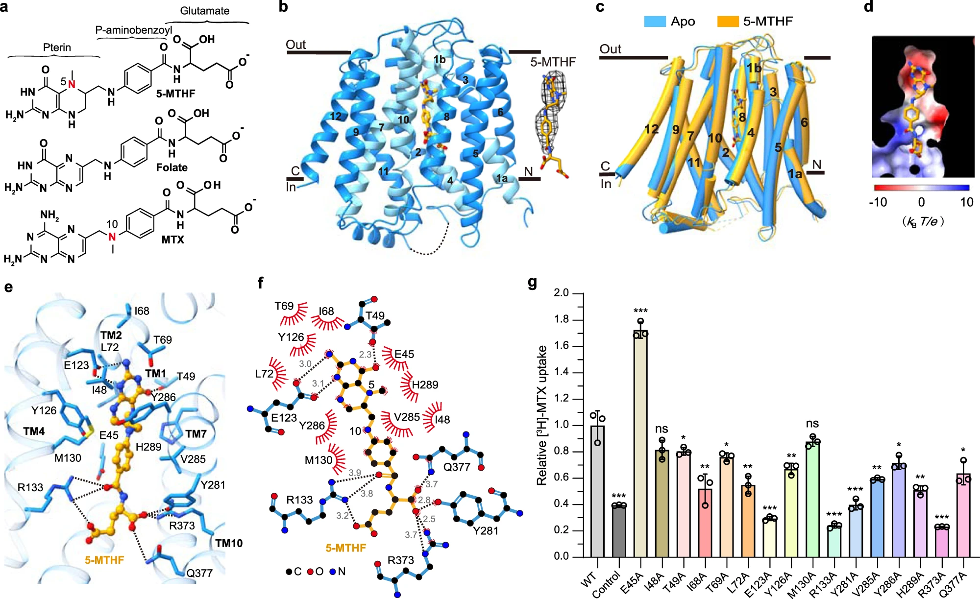 41421_2022_508_Fig2_HTML
